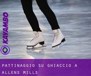 Pattinaggio su ghiaccio a Allens Mills