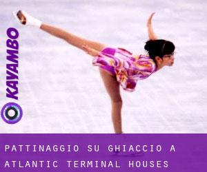 Pattinaggio su ghiaccio a Atlantic Terminal Houses