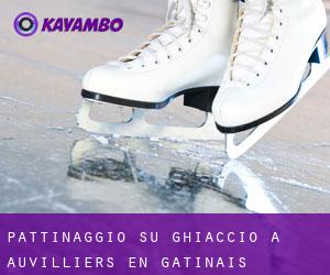 Pattinaggio su ghiaccio a Auvilliers-en-Gâtinais