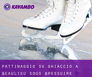 Pattinaggio su ghiaccio a Beaulieu-sous-Bressuire