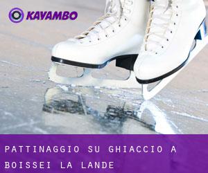 Pattinaggio su ghiaccio a Boissei-la-Lande