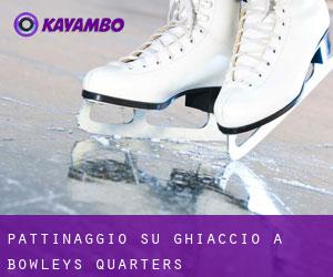 Pattinaggio su ghiaccio a Bowleys Quarters