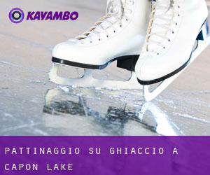 Pattinaggio su ghiaccio a Capon Lake