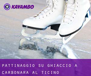 Pattinaggio su ghiaccio a Carbonara al Ticino