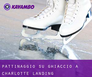 Pattinaggio su ghiaccio a Charlotte Landing