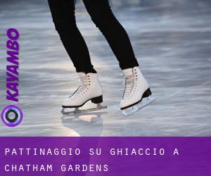 Pattinaggio su ghiaccio a Chatham Gardens