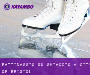 Pattinaggio su ghiaccio a City of Bristol
