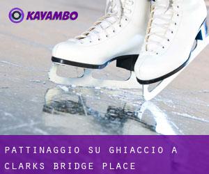 Pattinaggio su ghiaccio a Clarks Bridge Place