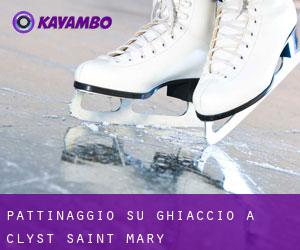 Pattinaggio su ghiaccio a Clyst Saint Mary