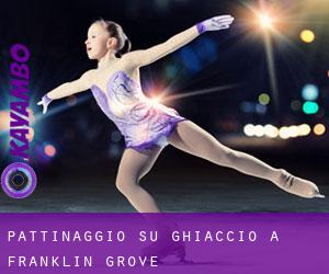 Pattinaggio su ghiaccio a Franklin Grove