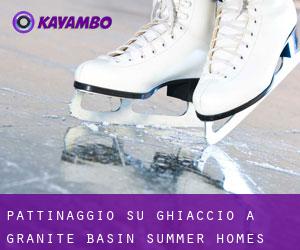 Pattinaggio su ghiaccio a Granite Basin Summer Homes