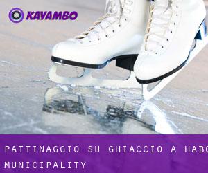 Pattinaggio su ghiaccio a Habo Municipality