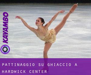 Pattinaggio su ghiaccio a Hardwick Center