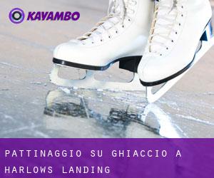 Pattinaggio su ghiaccio a Harlows Landing