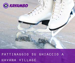 Pattinaggio su ghiaccio a Havana Village