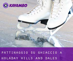 Pattinaggio su ghiaccio a Holaday Hills and Dales