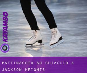 Pattinaggio su ghiaccio a Jackson Heights