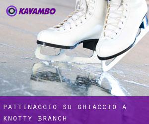 Pattinaggio su ghiaccio a Knotty Branch