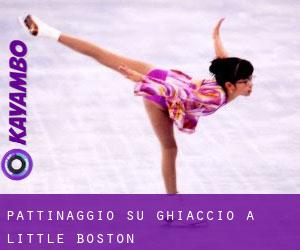 Pattinaggio su ghiaccio a Little Boston