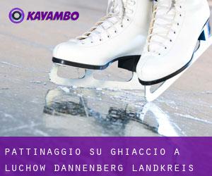 Pattinaggio su ghiaccio a Lüchow-Dannenberg Landkreis
