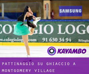 Pattinaggio su ghiaccio a Montgomery Village