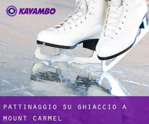 Pattinaggio su ghiaccio a Mount Carmel