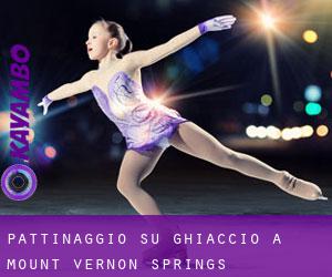 Pattinaggio su ghiaccio a Mount Vernon Springs