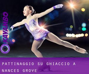 Pattinaggio su ghiaccio a Nances Grove