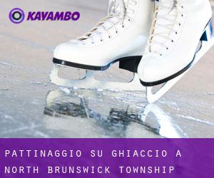 Pattinaggio su ghiaccio a North Brunswick Township