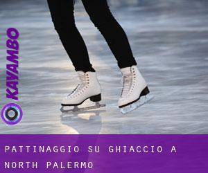 Pattinaggio su ghiaccio a North Palermo