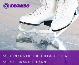 Pattinaggio su ghiaccio a Paint Branch Farms