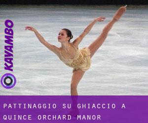 Pattinaggio su ghiaccio a Quince Orchard Manor