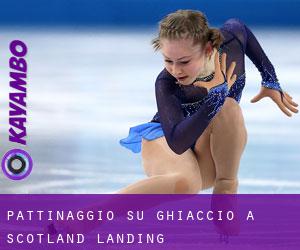 Pattinaggio su ghiaccio a Scotland Landing