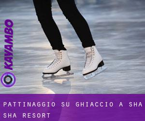 Pattinaggio su ghiaccio a Sha-Sha Resort