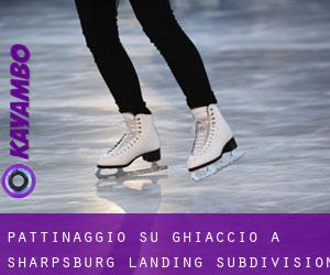 Pattinaggio su ghiaccio a Sharpsburg Landing Subdivision