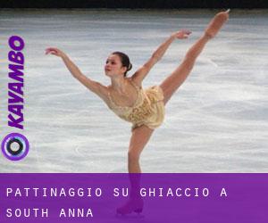 Pattinaggio su ghiaccio a South Anna