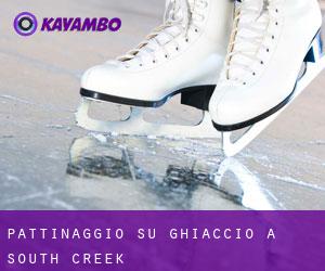 Pattinaggio su ghiaccio a South Creek