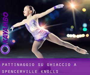 Pattinaggio su ghiaccio a Spencerville Knolls