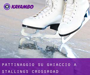 Pattinaggio su ghiaccio a Stallings Crossroad