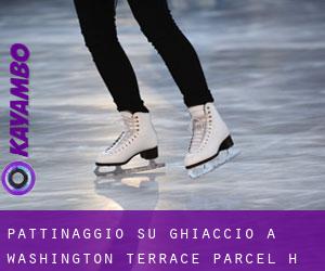 Pattinaggio su ghiaccio a Washington Terrace Parcel H
