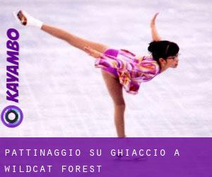 Pattinaggio su ghiaccio a Wildcat Forest