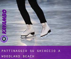 Pattinaggio su ghiaccio a Woodland Beach