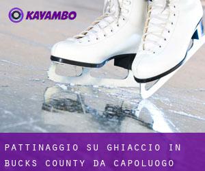 Pattinaggio su ghiaccio in Bucks County da capoluogo - pagina 5