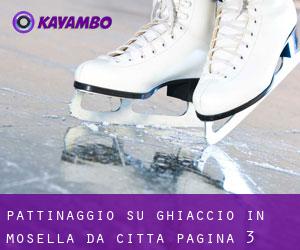 Pattinaggio su ghiaccio in Mosella da città - pagina 3