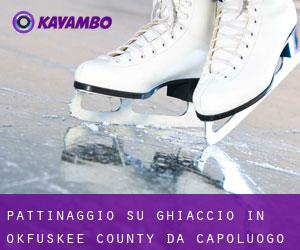 Pattinaggio su ghiaccio in Okfuskee County da capoluogo - pagina 1