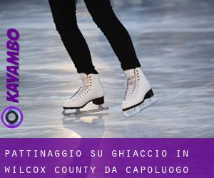 Pattinaggio su ghiaccio in Wilcox County da capoluogo - pagina 1