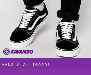 Vans a Alligoods