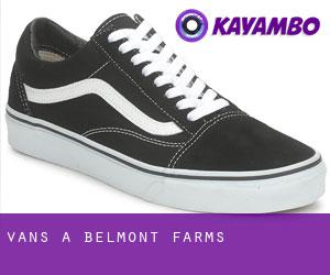 Vans a Belmont Farms