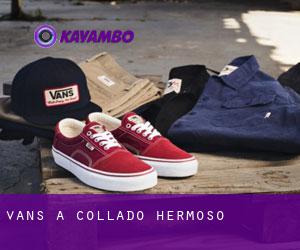 Vans a Collado Hermoso