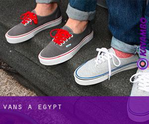 Vans a Egypt